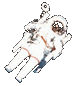 cosmo.gif