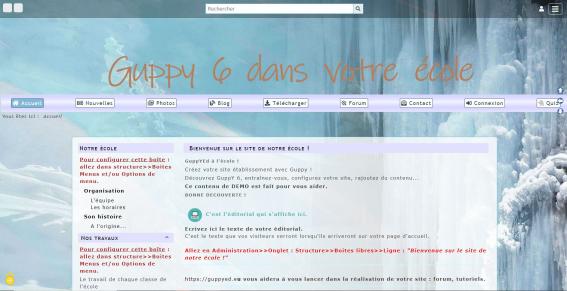 Skin Hiver